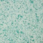 Victoria "11 Colores Disponibles"