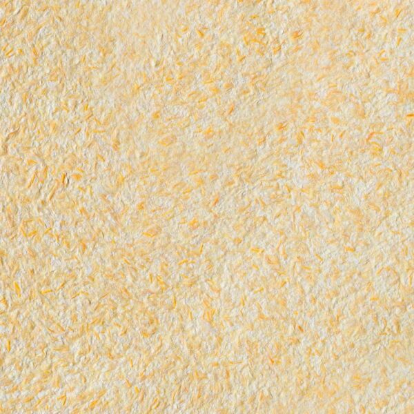 Standart "3 Colores Disponibles" - Imagen 3